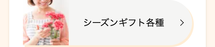 シーズンギフト各種