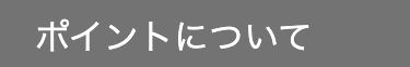 ポイントについて