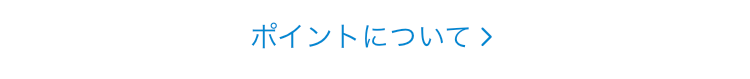 ポイントについて
