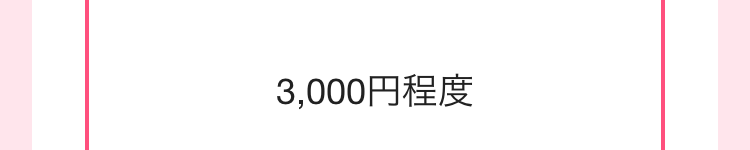 3,000円程度