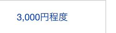 3,000円程度