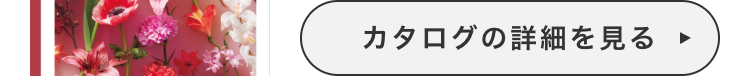 カタログの詳細を見る
