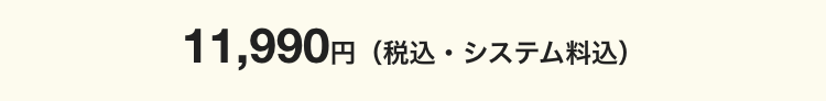 11,990円 (税込・システム料込)