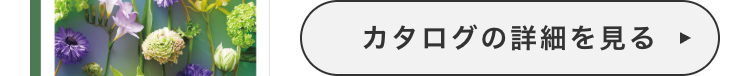 カタログの詳細を見る