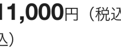 11,000円 (税込
즈)
