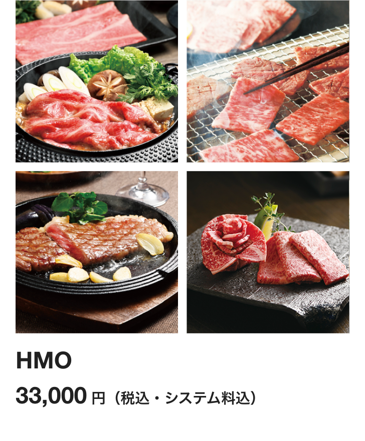 HMO
33,000円 (税込システム料込)