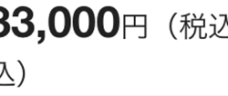 33,000円 (税込
즈)