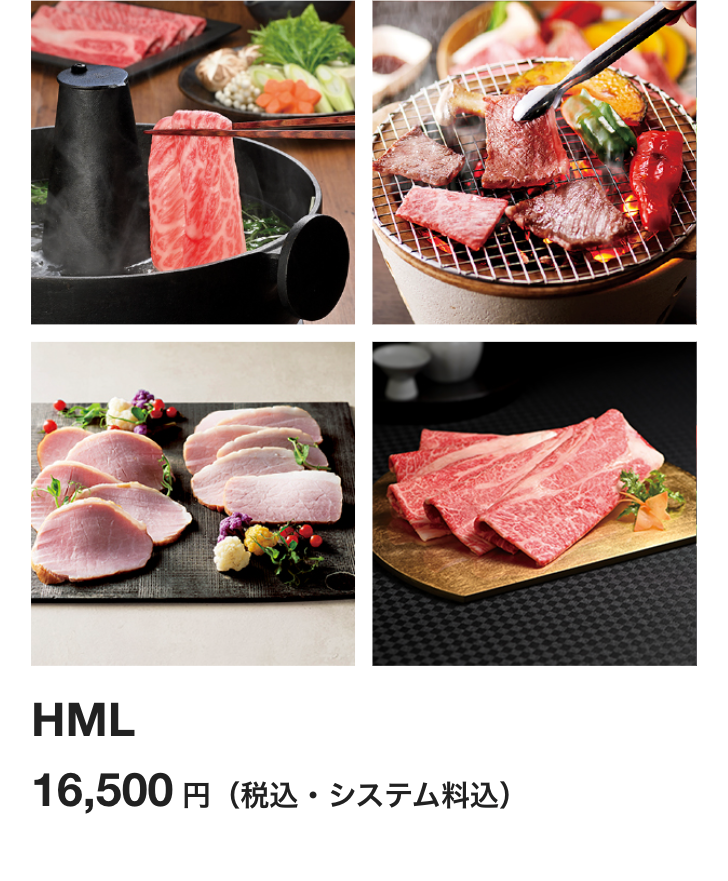 HML
16,500円 (税込・システム料込)