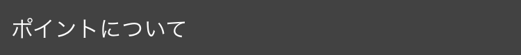 ポイントについて