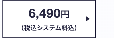 6,490円
(税込システム料込)