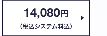 14,080円
(税込システム料込)