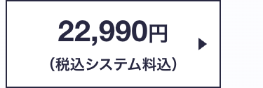 22,990円
(税込システム料込)