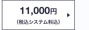 11,000円
(税込システム料込)