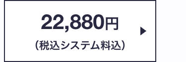 22,880円
(税込システム料込)