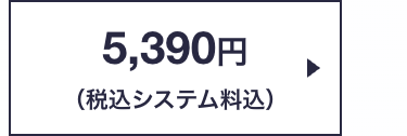 5,390円
(税込システム料込)