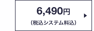 6,490円
(税込システム料込)