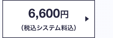 6,600円
(税込システム料込)