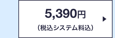 5,390円
(税込システム料込)