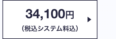 34,100円
(税込システム料込)
