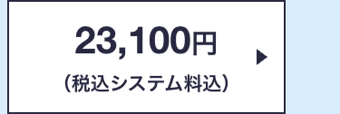 23,100円
(税込システム料込)