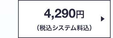 4,290円
(税込システム料込)