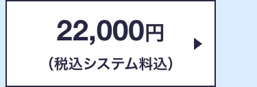22,000円
(税込システム料込)