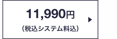 11,990円
(税込システム料込)