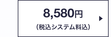 8,580円
(税込システム料込)