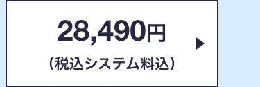 28,490円
(税込システム料込)