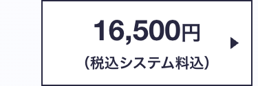 16,500円
(税込システム料込)