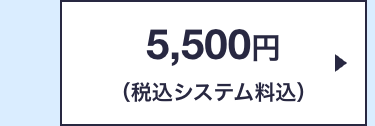 5,500円
(税込システム料込)
