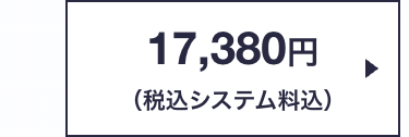 17,380円
(税込システム料込)