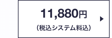 11,880円
(税込システム料込)
