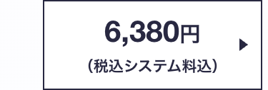 6,380円
(税込システム料込)