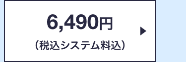 6,490円
(税込システム料込)