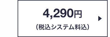 4,290円
(税込システム料込)