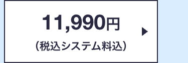 11,990円
(税込システム料込)