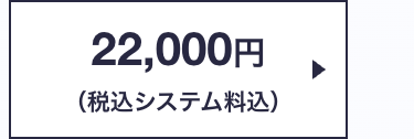 22,000円
(税込システム料込)