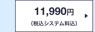 11,990円
(税込システム料込)
